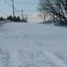 2010-02-11_JAK_2515