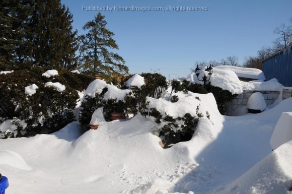 2010-02-11_JAK_2549