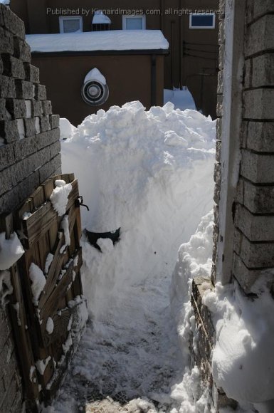 2010-02-11_JAK_2551