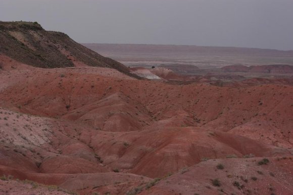 2003-06-17   DSC_1314