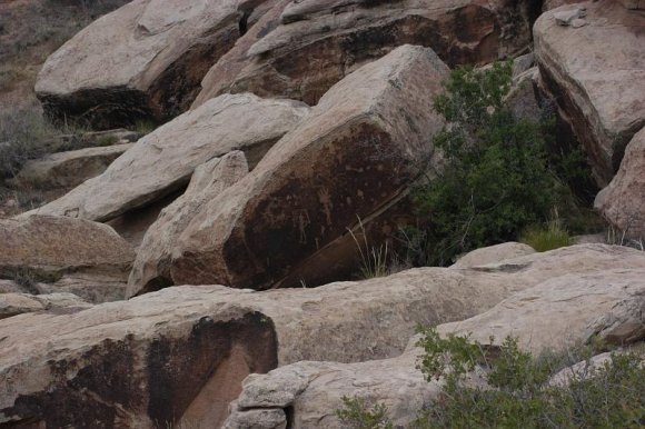 2003-06-17   DSC_1327