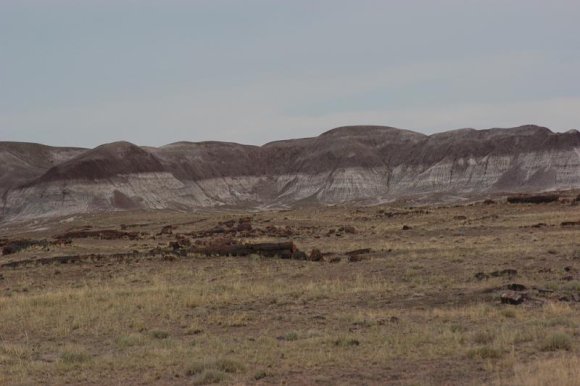 2003-06-17   DSC_1409