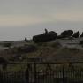 2003-06-17   DSC_1411