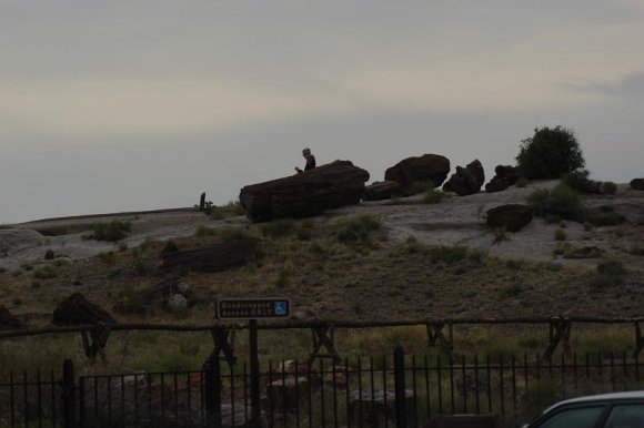 2003-06-17   DSC_1411