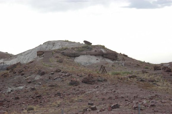 2003-06-17   DSC_1413