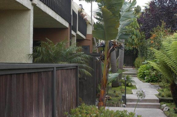 2003-06-22   DSC_1950