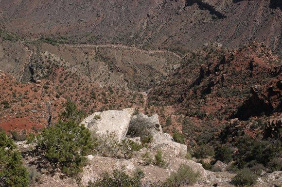 2003-06-18   DSC_1445