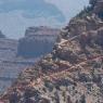Trips in the USA