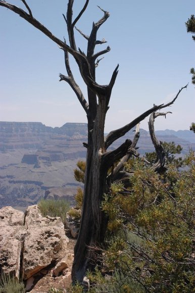 2003-06-18   DSC_1489