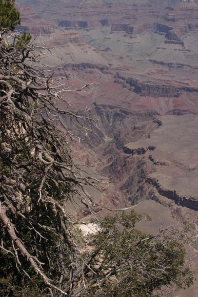 2003-06-18   DSC_1493