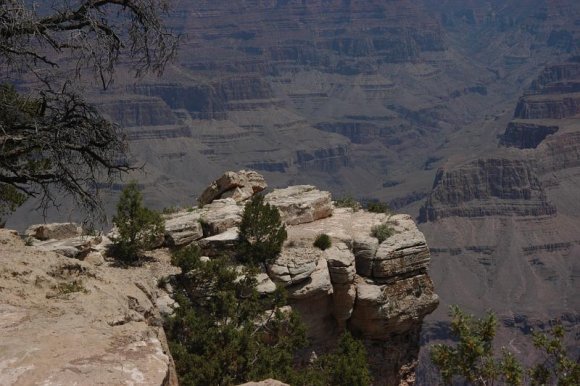 2003-06-18   DSC_1497