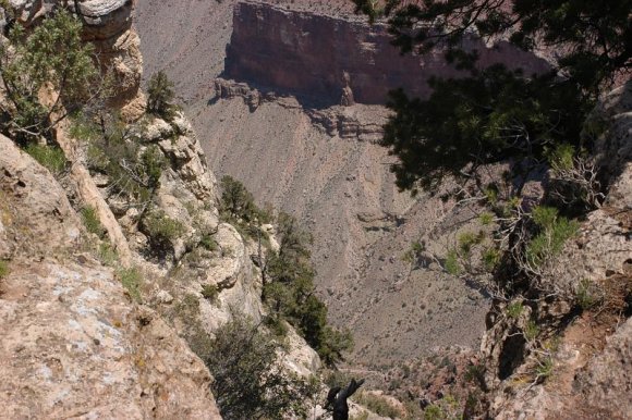 2003-06-18   DSC_1510