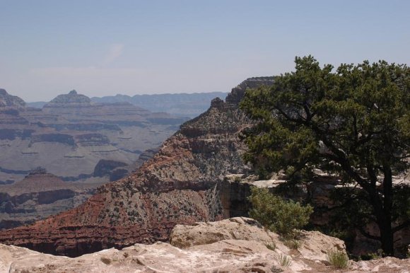 2003-06-18   DSC_1512