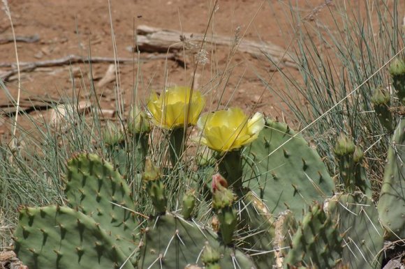 2003-06-18   DSC_1515