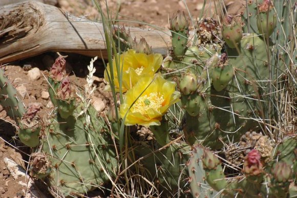 2003-06-18   DSC_1521