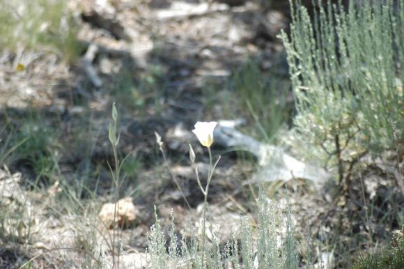 2003-06-18   DSC_1522