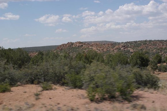 2003-06-18   DSC_1552