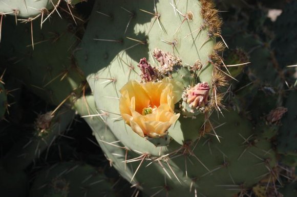 2003-06-18   DSC_1573