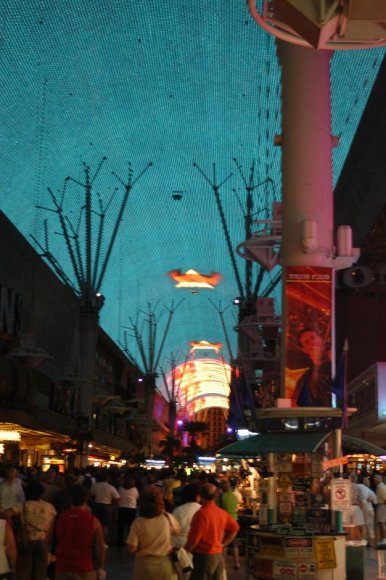 2003-06-20   DSC_1730