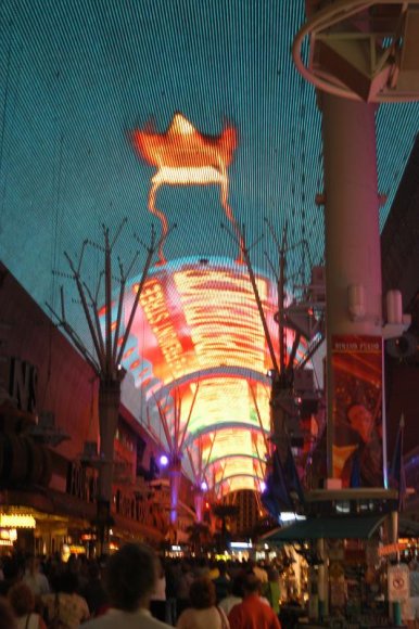 2003-06-20   DSC_1732