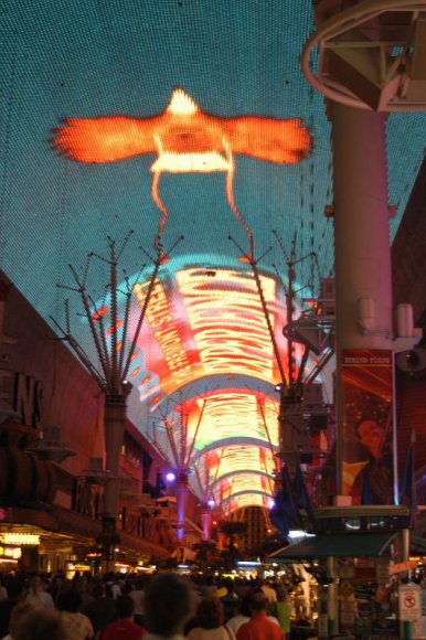 2003-06-20   DSC_1733