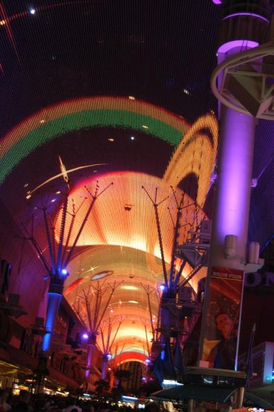 2003-06-20   DSC_1741