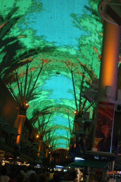 2003-06-20   DSC_1744