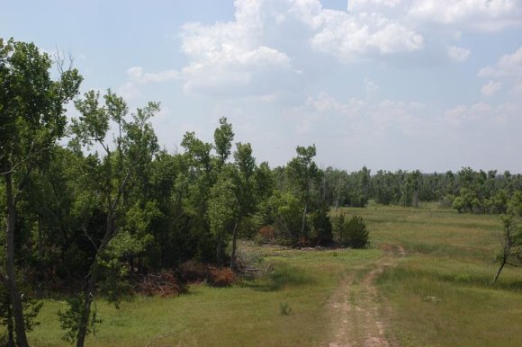 2003-06-16   DSC_1100