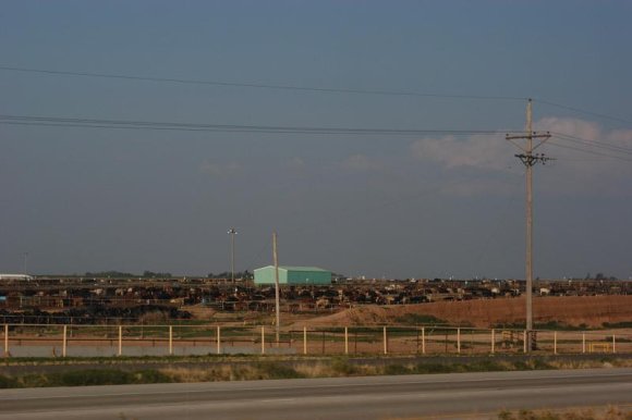 2003-06-17   DSC_1190