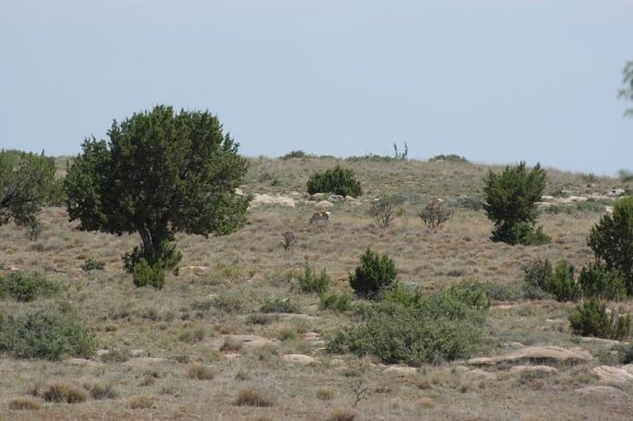 2003-06-17   DSC_1209