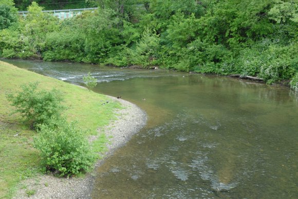 2008-06-01_JAK_8813