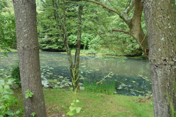 2008-06-01_JAK_8820