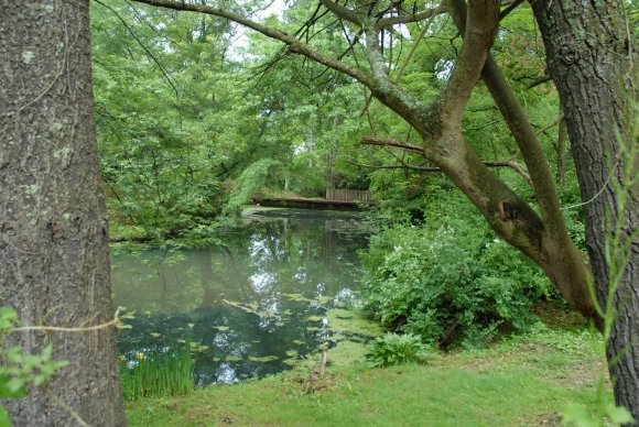 2008-06-01_JAK_8821