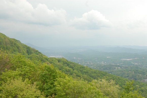 2008-06-01_JAK_8872