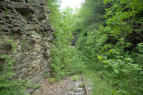 2008-06-01_JAK_8951