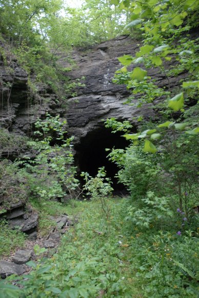2008-06-01_JAK_8962