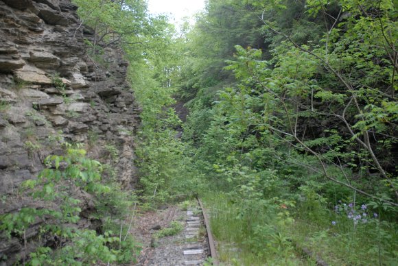 2008-06-01_JAK_8963